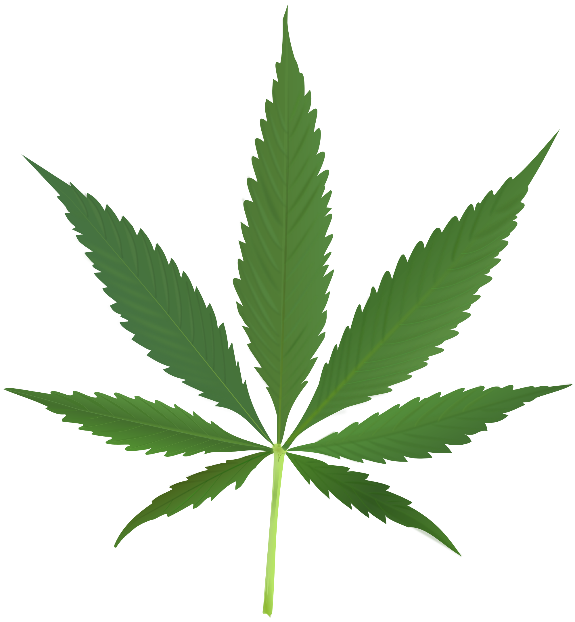 Bud of the Month: Valkyrie Light’s Chemmy Jones (February 2018)