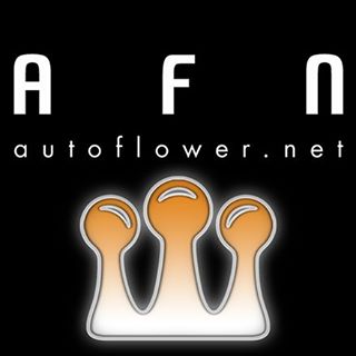 AgriScience Labs featured on The Autoflower Network podcast